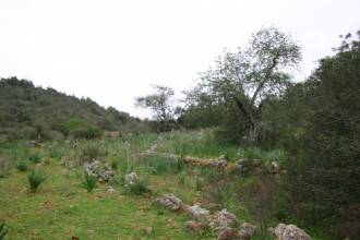 A plot in Portugal