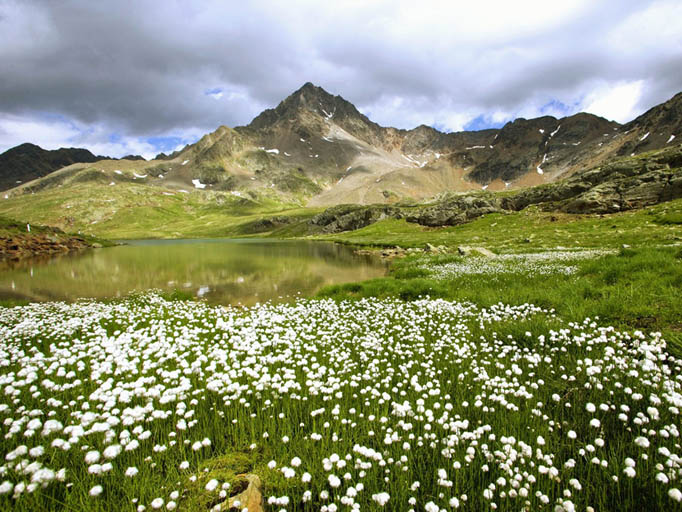 Parco Nazionale dello Stelvio