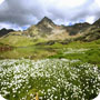 Stelvio National Park